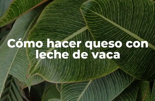 Cómo Hacer Queso con Leche de Vaca