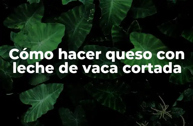 Cómo Hacer Queso con Leche de Vaca Cortada 2 Queso con leche de vaca cortada