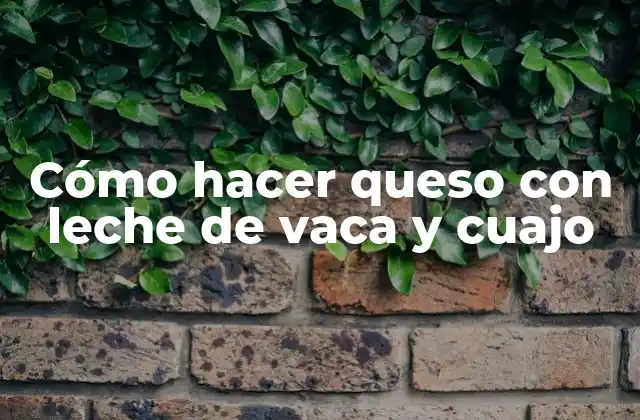Cómo hacer queso con leche de vaca y cuajo