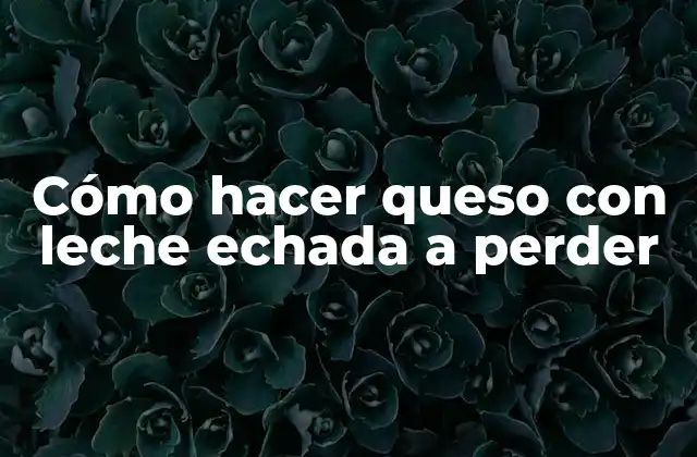 Cómo Hacer Queso con Leche Echada a Perder 2 Cómo hacer queso con leche echada a perder