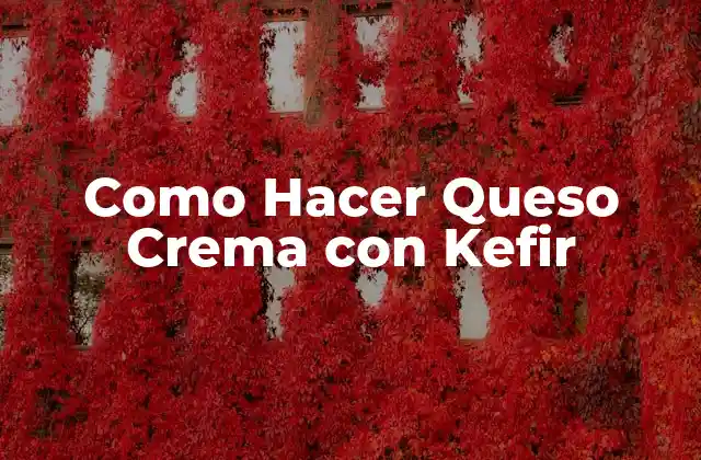 Como Hacer Queso Crema con Kefir