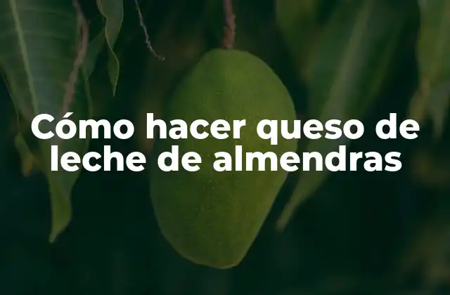 ¿Qué es queso de leche de almendras?