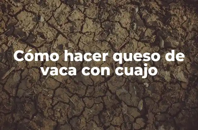 Cómo Hacer Queso de Vaca con Cuajo