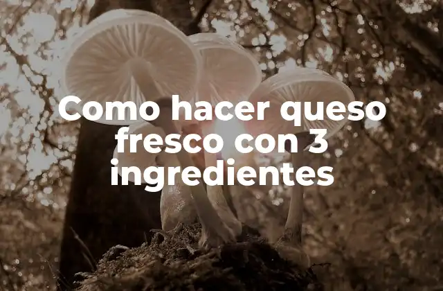 Como Hacer Queso Fresco con 3 Ingredientes