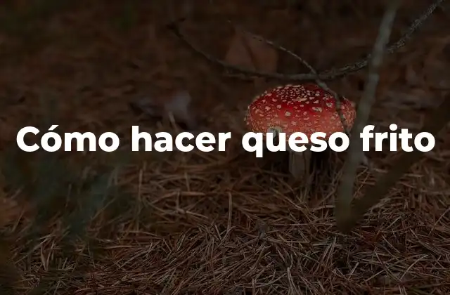 Cómo Hacer Queso Frito 2 Qué es el queso frito y para qué sirve