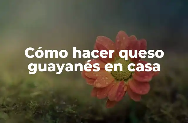 Cómo Hacer Queso Guayanés en Casa