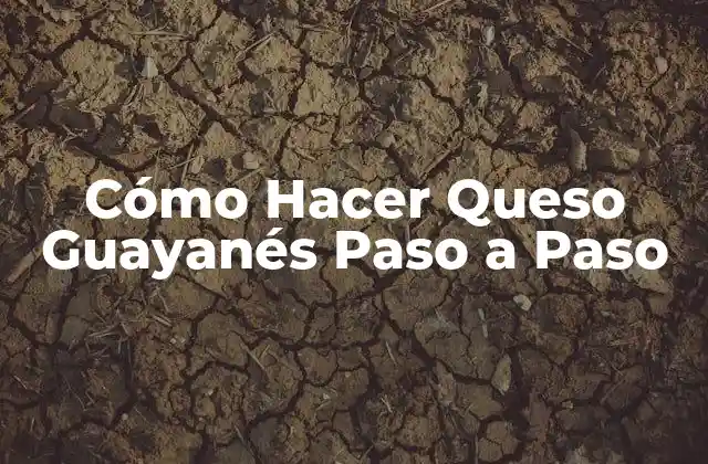 Cómo Hacer Queso Guayanés Paso a Paso 2 ¿Qué es el Queso Guayanés?