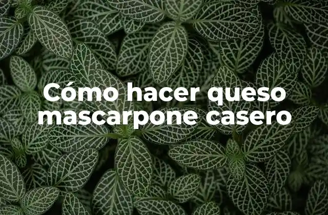 Cómo Hacer Queso Mascarpone Casero