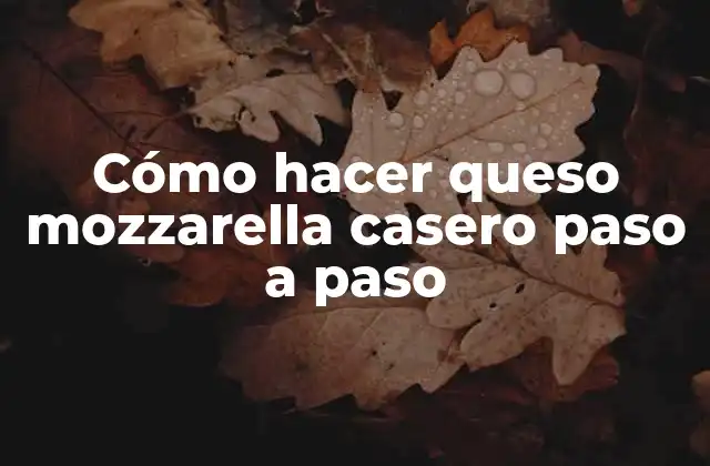 Cómo Hacer Queso Mozzarella Casero Paso a Paso 2 Cómo hacer queso mozzarella casero paso a paso