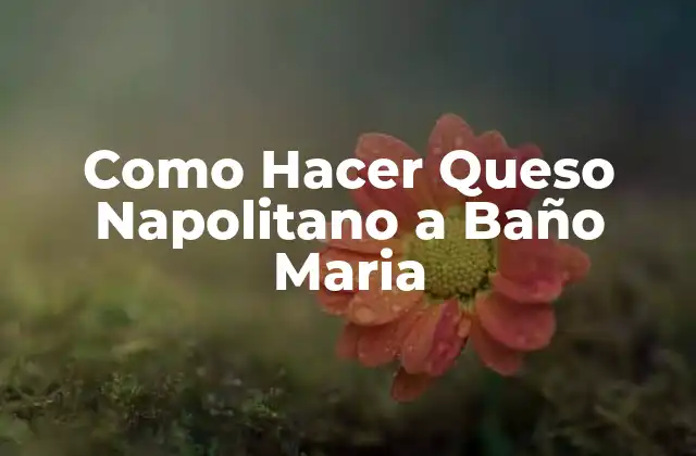 Como Hacer Queso Napolitano a Baño Maria