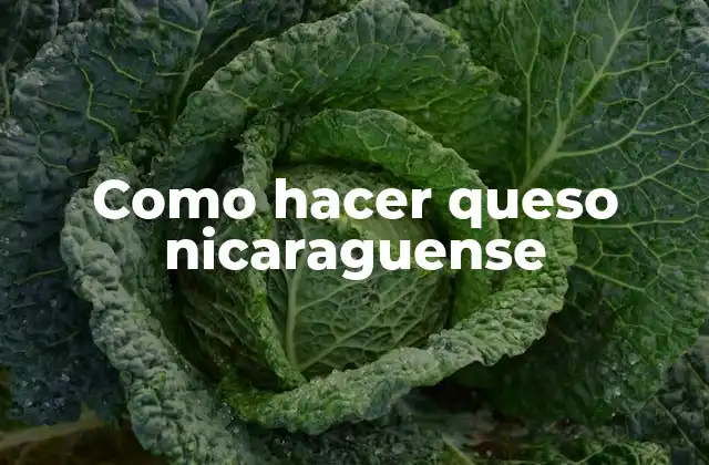 Como Hacer Queso Nicaraguense 2 ¿Qué es el queso nicaraguense?