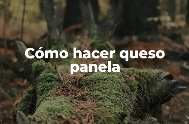 Cómo Hacer Queso Panela 2 ¿Qué es el queso panela?