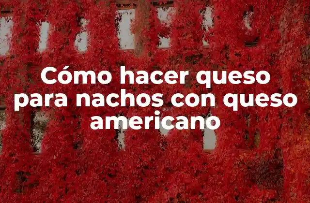 Cómo Hacer Queso para Nachos con Queso Americano 2 Queso para nachos con queso americano, ¿qué es y para qué sirve?