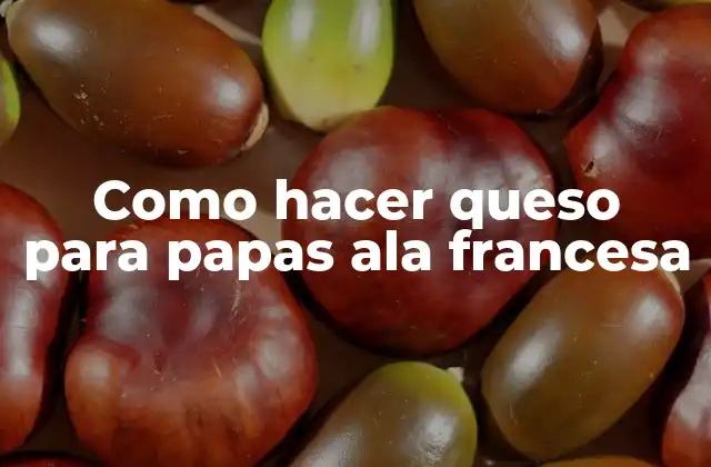 Como Hacer Queso para Papas Ala Francesa