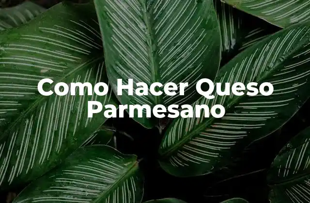 Como Hacer Queso Parmesano