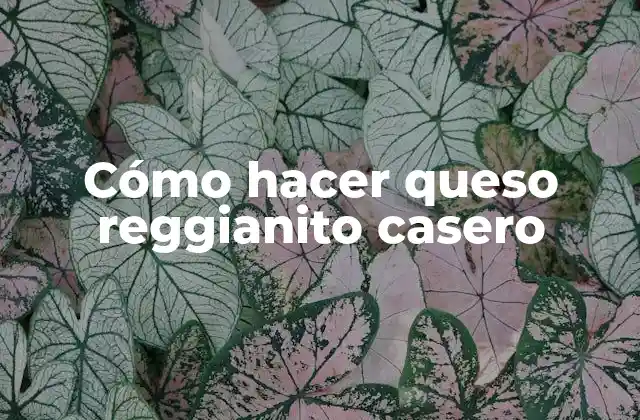 Queso reggianito casero: qué es y cómo se hace