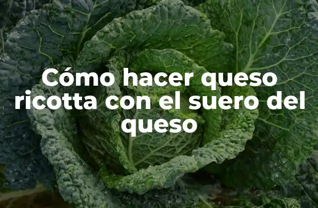 Queso ricotta con suero de queso: qué es y para qué sirve