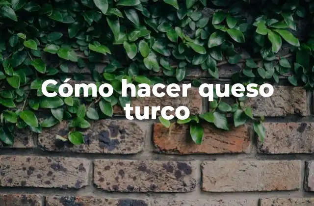 Cómo Hacer Queso Turco