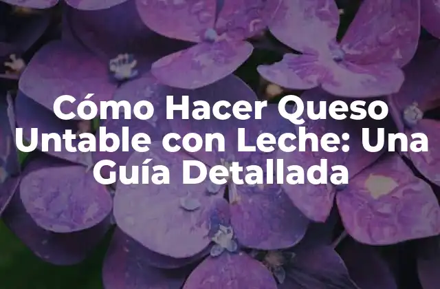 Ingredientes y Equipos Necesarios