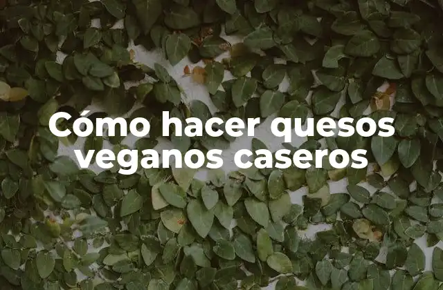 Cómo Hacer Quesos Veganos Caseros
