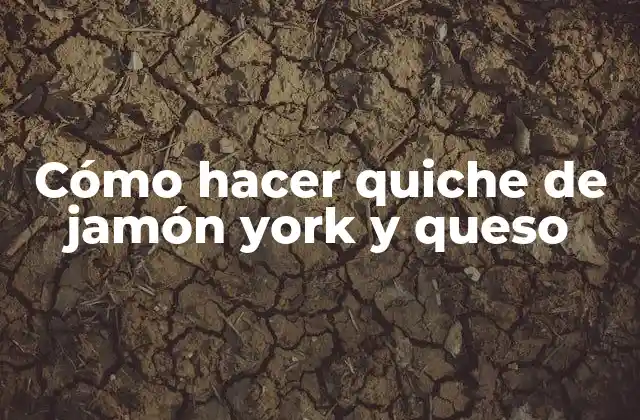 Cómo Hacer Quiche de Jamón York y Queso