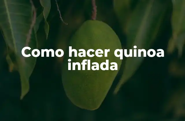 Qué es la quinoa inflada y para qué sirve
