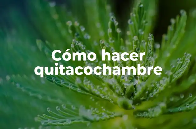 Cómo Hacer Quitacochambre