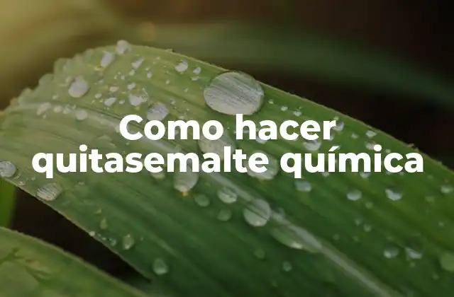 Como Hacer Quitasemalte Química