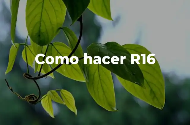 Como Hacer R16