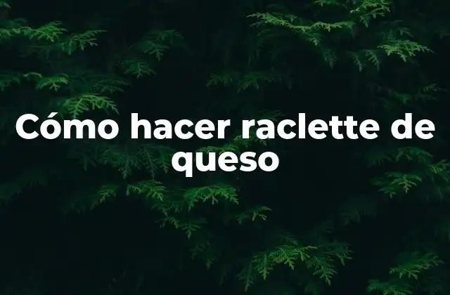 ¿Qué es la raclette de queso?