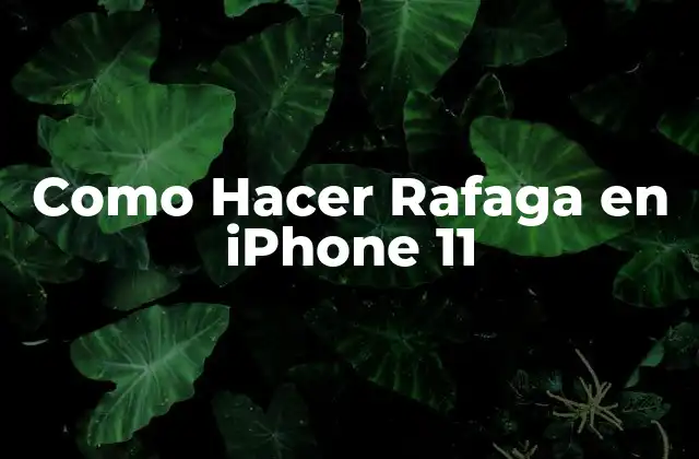 Como Hacer Rafaga en Iphone 11
