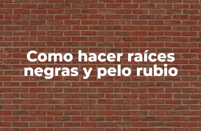 Como Hacer Raíces Negras y Pelo Rubio