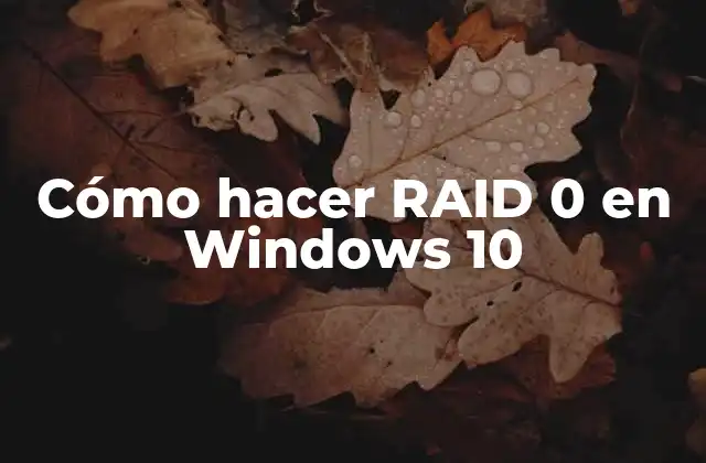 Cómo Hacer Raid 0 en Windows 10