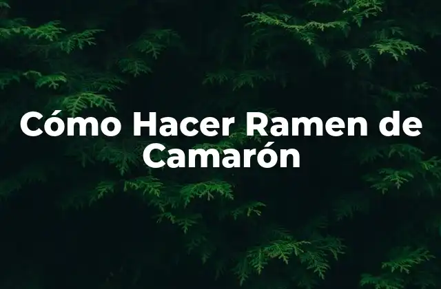 ¿Qué es el Ramen de Camarón y Para Qué Sirve?
