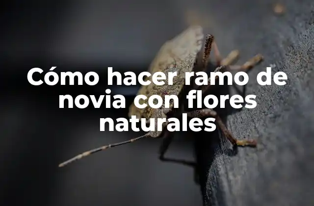 Cómo Hacer Ramo de Novia con Flores Naturales