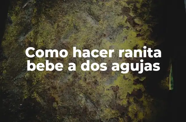 Como Hacer Ranita Bebe a Dos Agujas