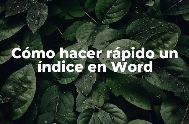 Cómo Hacer Rápido un Índice en Word