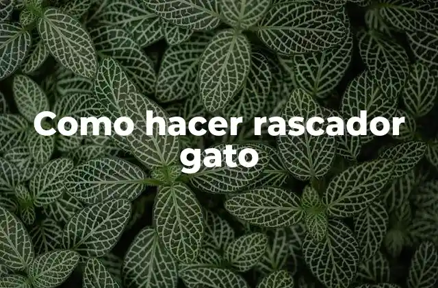 Como Hacer Rascador Gato 2 ¿Qué es un rascador gato?