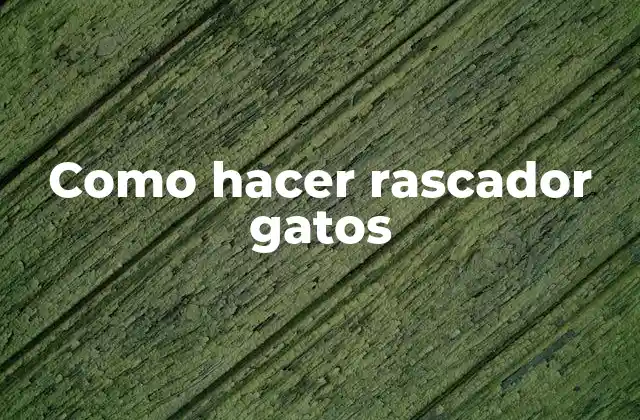 ¿Qué es un rascador para gatos?