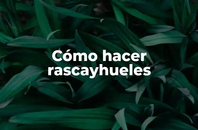 Cómo Hacer Rascayhueles