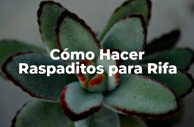 Cómo Hacer Raspaditos para Rifa