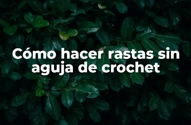 Cómo Hacer Rastas sin Aguja de Crochet