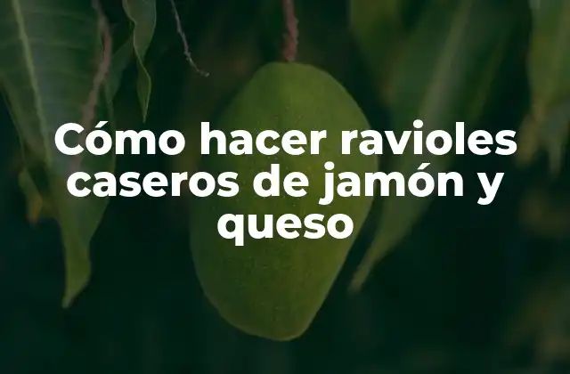 Cómo Hacer Ravioles Caseros de Jamón y Queso