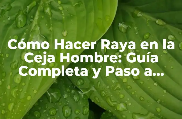 Cómo Hacer Raya en la Ceja Hombre: Guía Completa y Paso a Paso