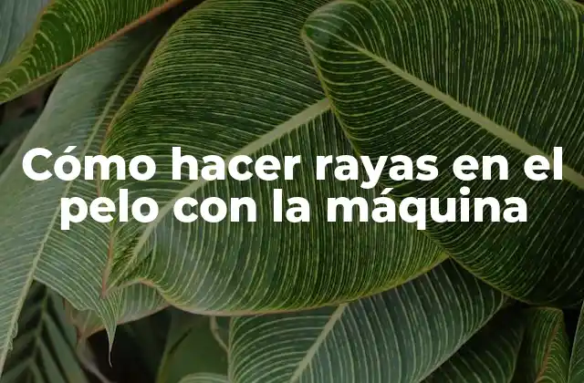 Cómo Hacer Rayas en el Pelo con la Máquina