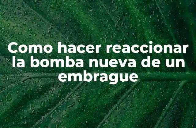 Como Hacer Reaccionar la Bomba Nueva de un Embrague