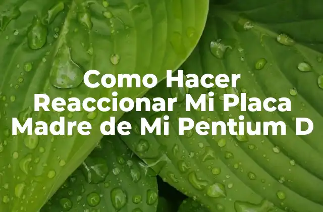 ¿Qué es la Placa Madre de Pentium D y Cómo Funciona?