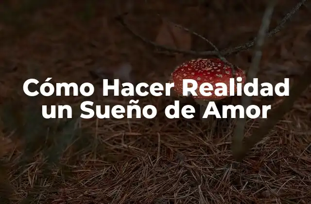 Cómo Hacer Realidad un Sueño de Amor