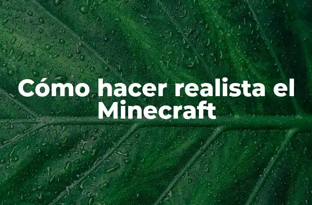 Cómo Hacer Realista el Minecraft
