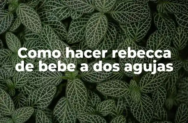 Como Hacer Rebecca de Bebe a Dos Agujas